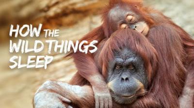 The Nature of Things