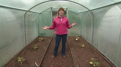 The Beechgrove Garden