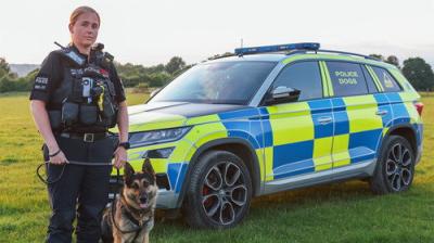 Police Interceptors