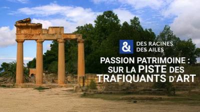 Des racines & des ailes