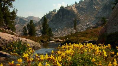 Oregon Field Guide