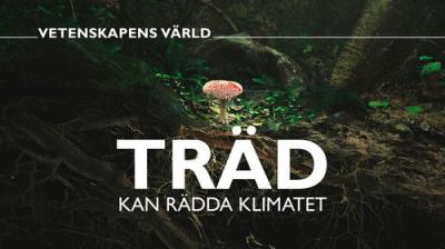 Vetenskapens värld