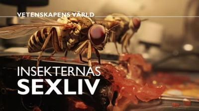 Vetenskapens värld