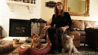 Cesar Millan: Better Human, Better Dog