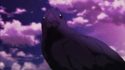 COPPELION