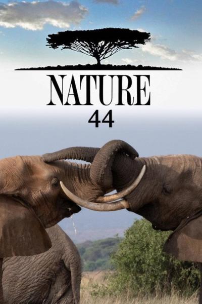 Nature filmas online