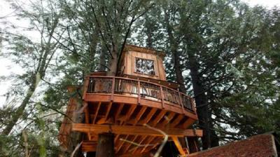 Treehouse Masters