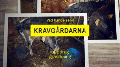Uppdrag granskning sommar