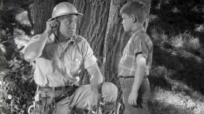 The Andy Griffith Show