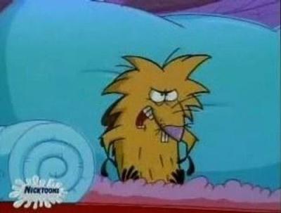 The Angry Beavers