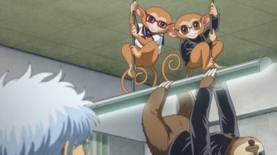 3年Z組銀八先生