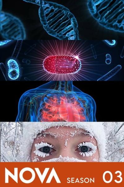 NOVA filmas online