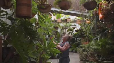 Gardening Australia