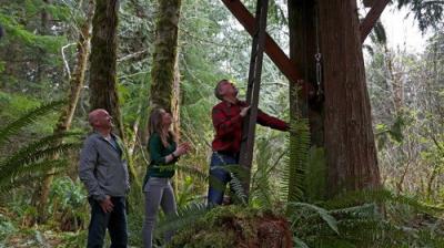 Treehouse Masters
