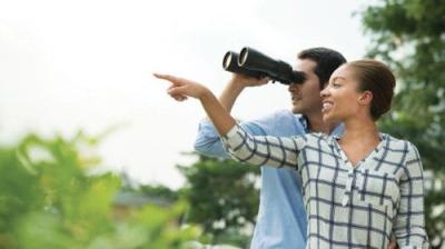 The National Geographic Guide to Birding in North America