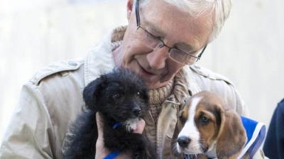 For the Love of Dogs