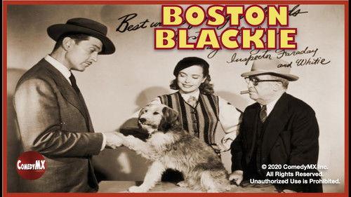 Boston Blackie filmas žiurėti online