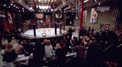 The Ultimate Fighter