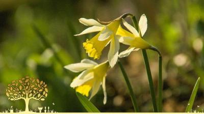 Gardeners' World