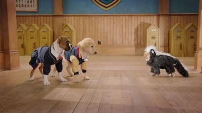 Pup Academy