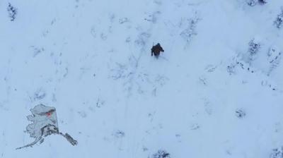 Life Below Zero