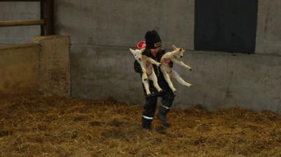 Fletchers' Family Farm
