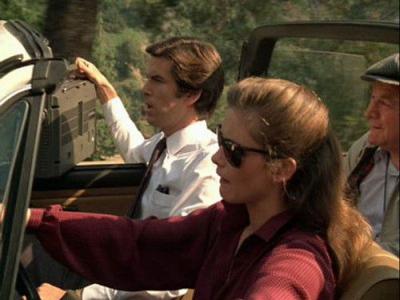 Remington Steele