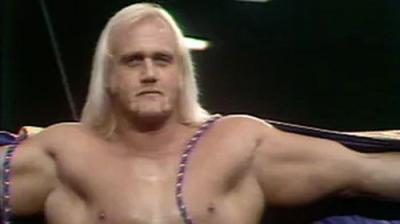WWF All-Star Wrestling