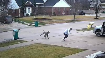 Neighborhood Wars