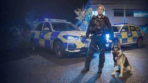 Police Interceptors filmas žiurėti online
