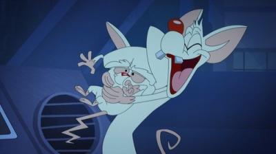 Animaniacs