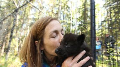 Dr. Oakley, Yukon Vet