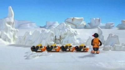 Pingu