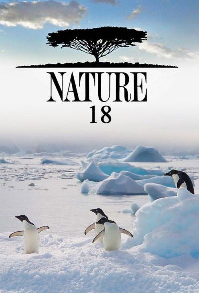 Nature filmas online