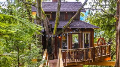 Treehouse Masters