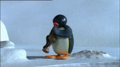 Pingu