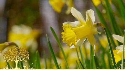 Gardeners' World
