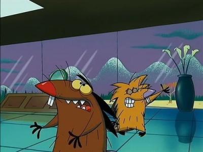 The Angry Beavers