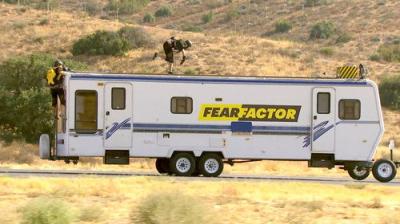Fear Factor