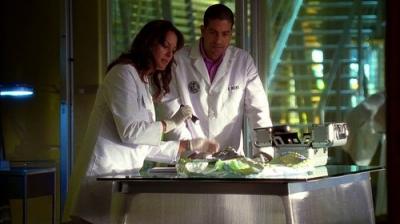 CSI Majamis
