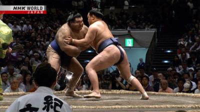GRAND SUMO Highlights
