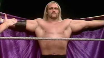 WWF All-Star Wrestling