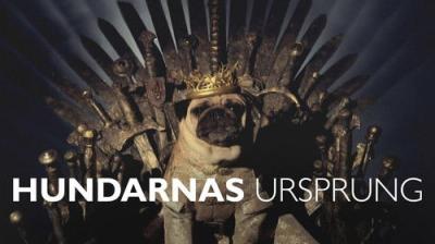 Vetenskapens värld