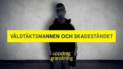 Uppdrag granskning