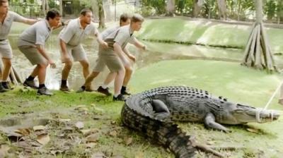 Crikey! It's the Irwins