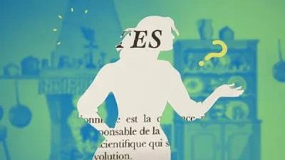 Cherchez la femme !