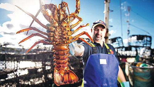 Aussie Lobster Men filmas žiurėti online