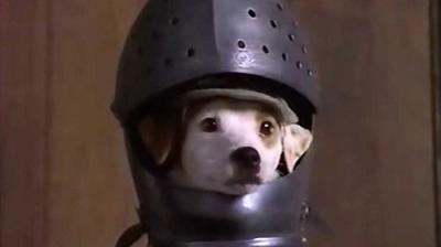 Wishbone