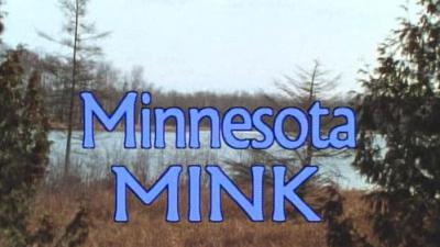 Marty Stouffer's Wild America