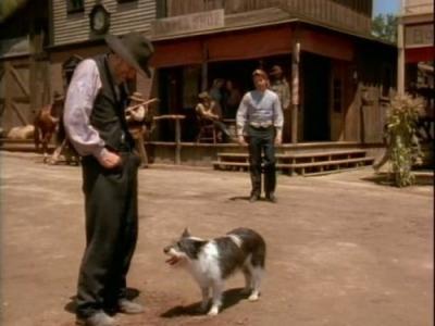 Dr. Quinn, Medicine Woman